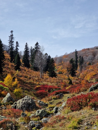 Грузия, Аджария